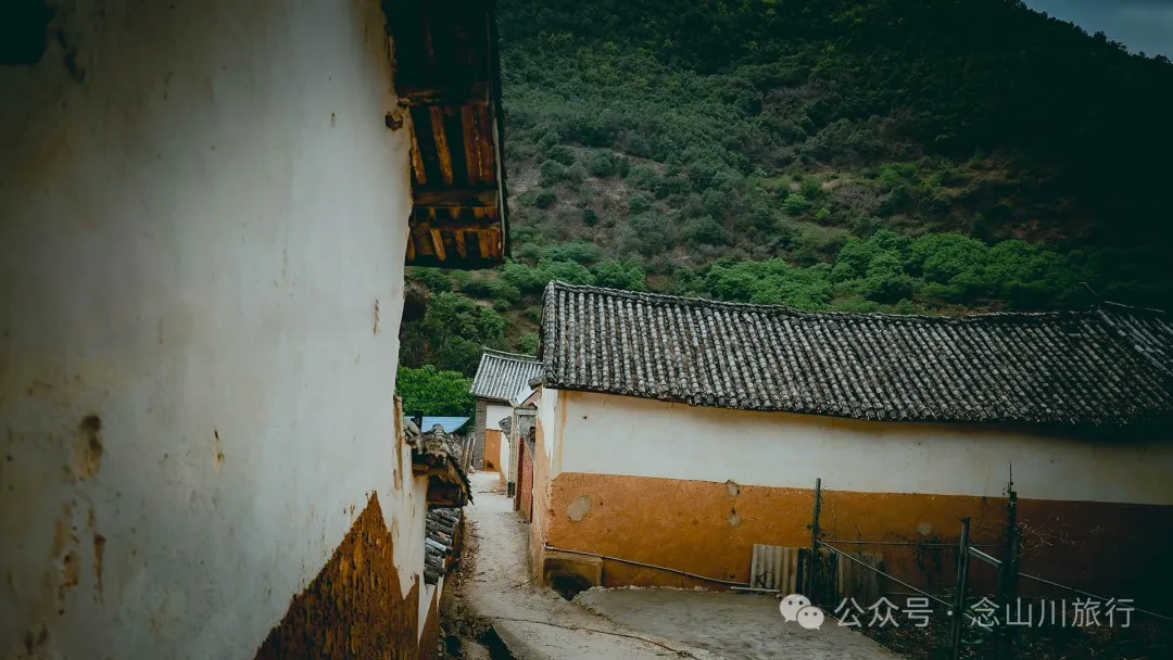 大理巍山五印乡白乃村:绿树掩映,红花点缀,小鸡足山脚下的村庄 - 第8张