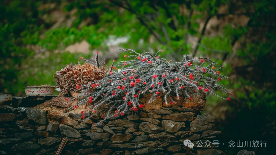 Laoheichu Village in Xiaowan East Town, Nanjian, Dali: A Rustic Village in the Old Times by the Lancang River - Image 11