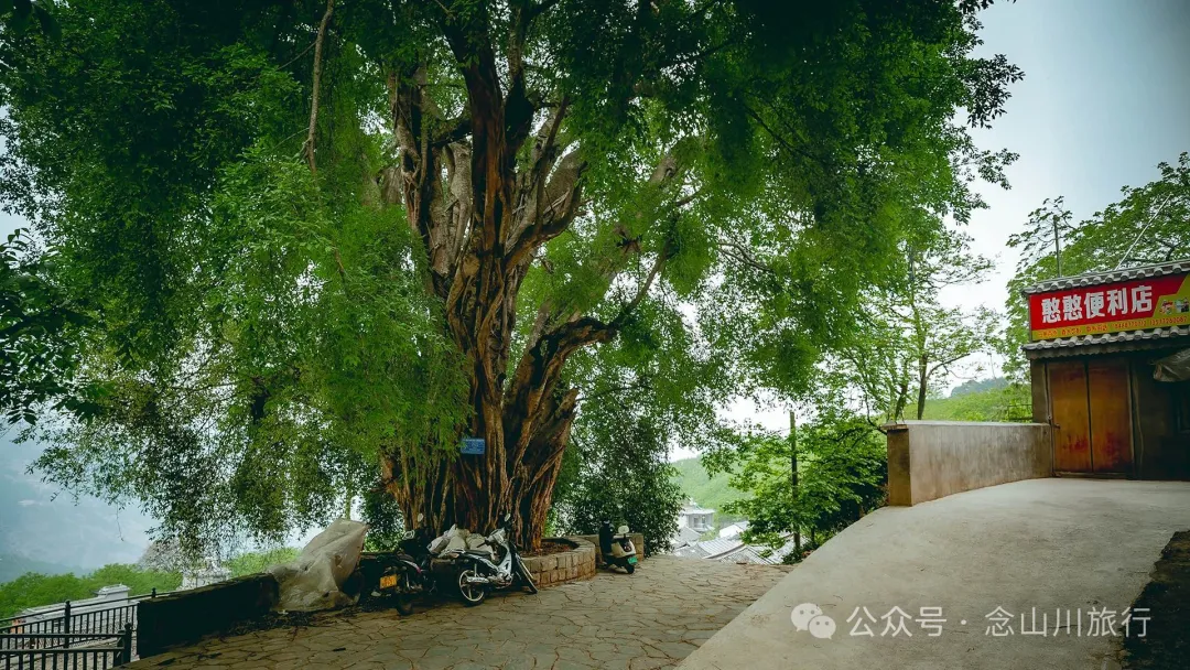 大理南涧小湾东镇老家库村:千年彝寨,宛如漂浮在绿海上的岛屿 - 第27张