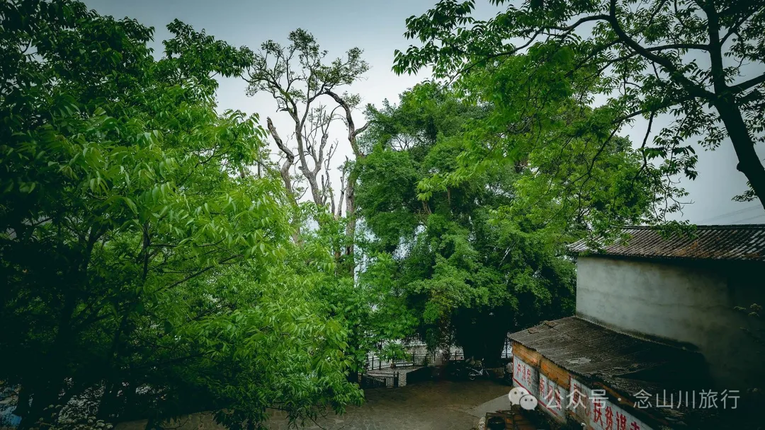 大理南涧小湾东镇老家库村:千年彝寨,宛如漂浮在绿海上的岛屿 - 第28张