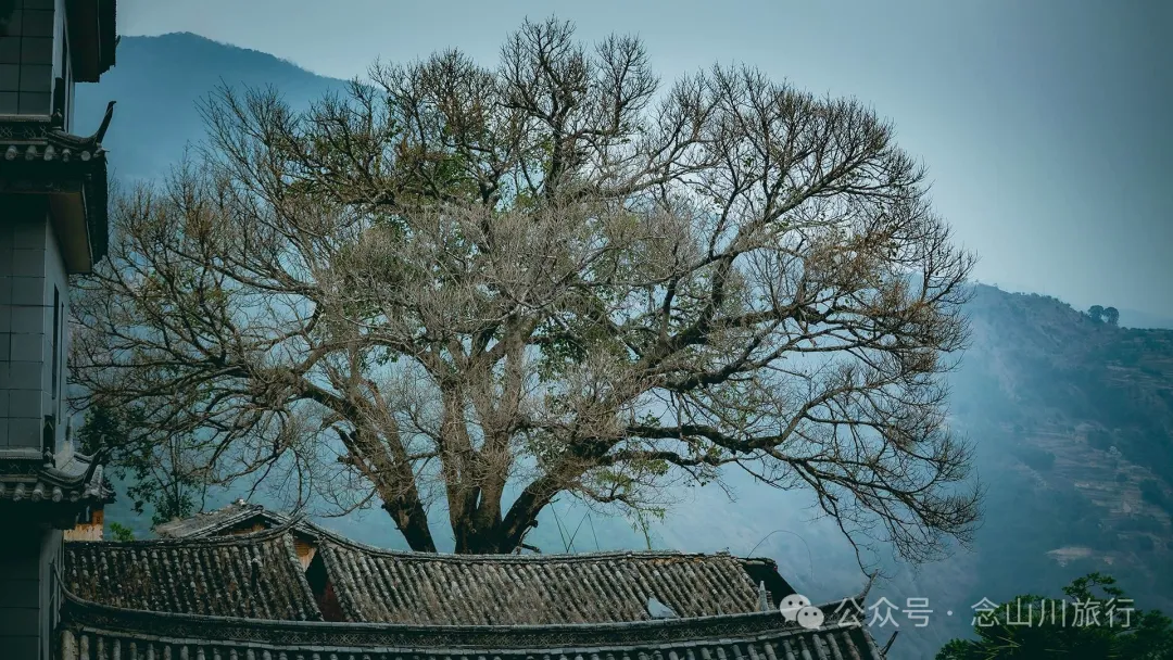 大理南涧小湾东镇老家库村:千年彝寨,宛如漂浮在绿海上的岛屿 - 第5张