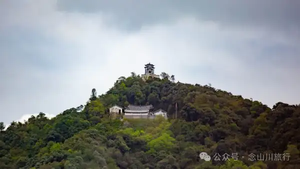 大理巍山五印乡小鸡足山:徒步大山深处,享受采蕨菜的春日野趣时光