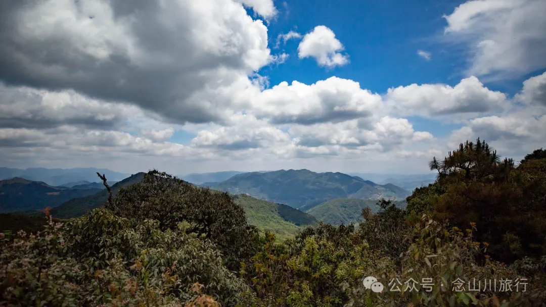 大理巍山五印乡小鸡足山:徒步大山深处,享受采蕨菜的春日野趣时光 - 第20张