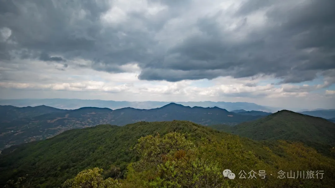 大理巍山五印乡小鸡足山:徒步大山深处,享受采蕨菜的春日野趣时光 - 第21张