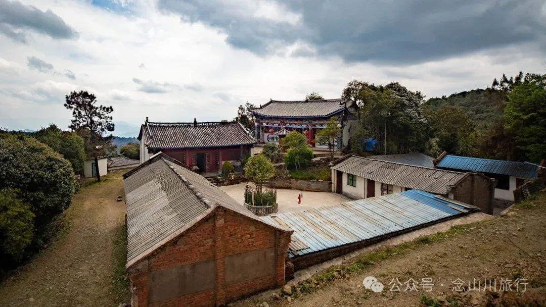 大理巍山五印乡小鸡足山:徒步大山深处,享受采蕨菜的春日野趣时光 - 第4张