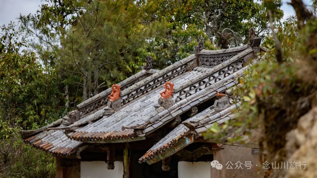 大理巍山五印乡小鸡足山:徒步大山深处,享受采蕨菜的春日野趣时光 - 第5张