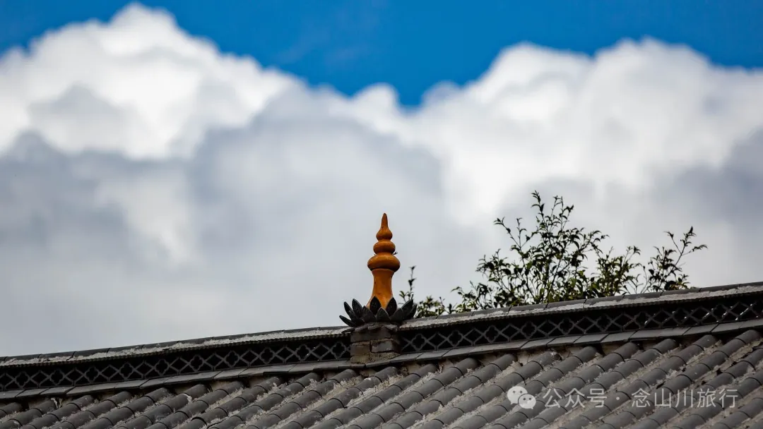 大理巍山五印乡小鸡足山:徒步大山深处,享受采蕨菜的春日野趣时光 - 第6张