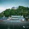 大理南涧碧溪乡岩子头村:古树群中的宁静,古老村庄的故事