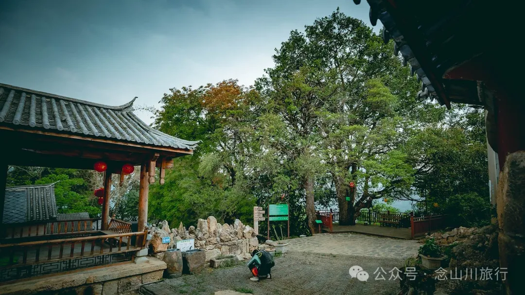 大理南澗碧溪鄉岩子頭村：古樹群中的寧靜，古老村莊的故事 - 第11張
