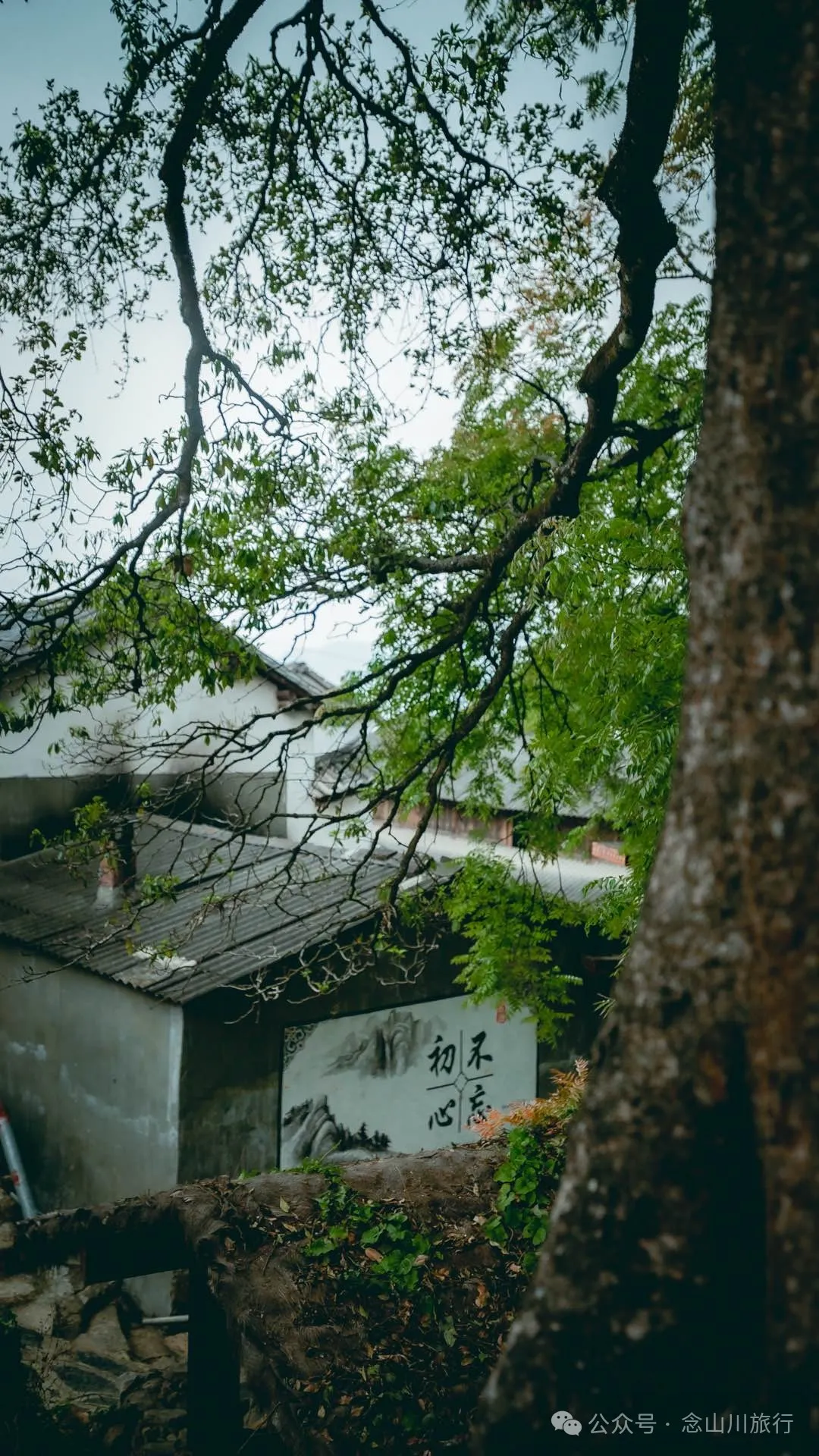 大理南澗碧溪鄉岩子頭村：古樹群中的寧靜，古老村莊的故事 - 第26張