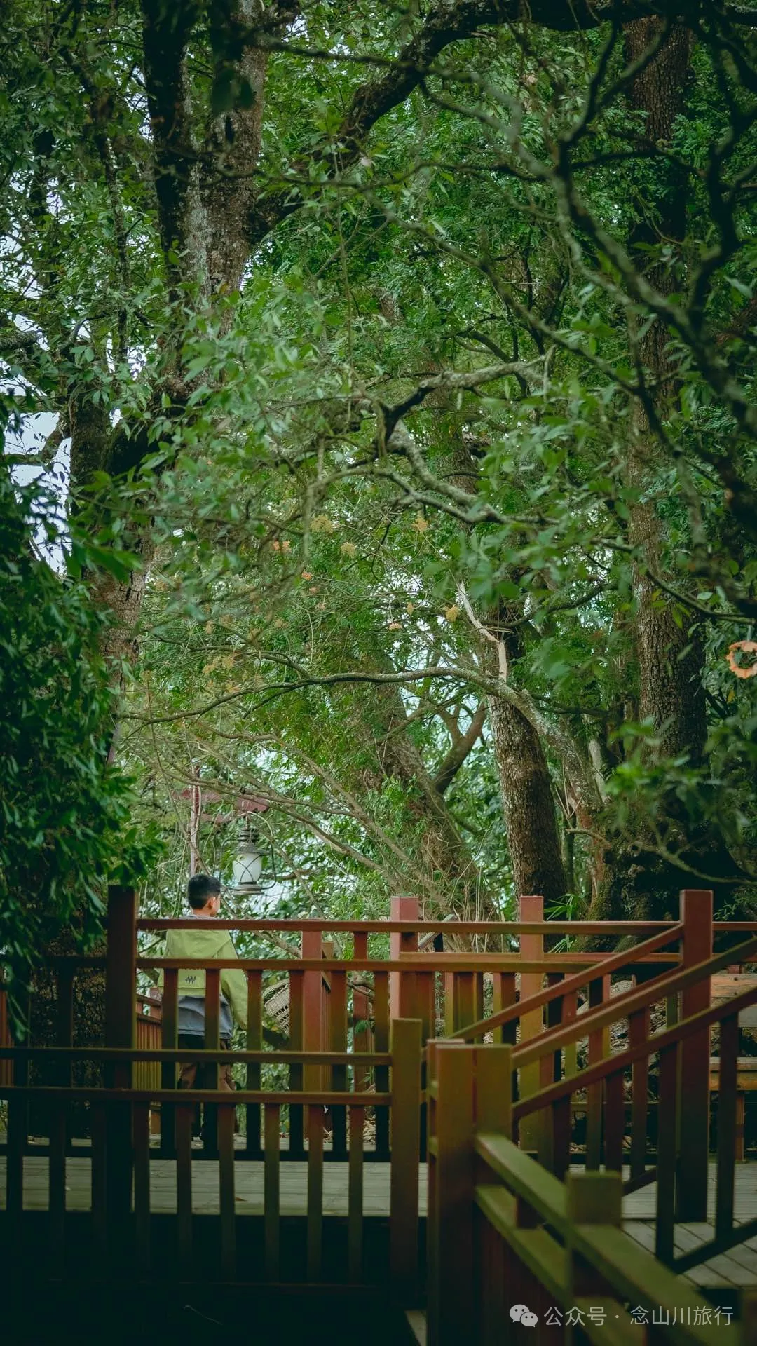 大理南澗碧溪鄉岩子頭村：古樹群中的寧靜，古老村莊的故事 - 第30張