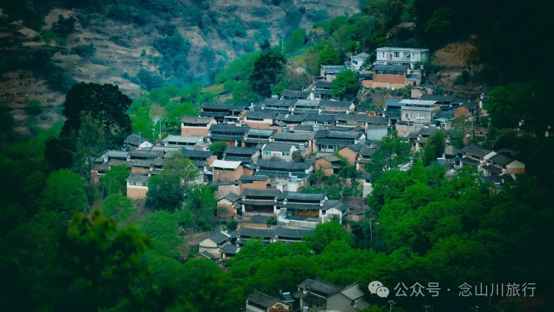 大理南澗碧溪鄉岩子頭村：古樹群中的寧靜，古老村莊的故事 - 第31張