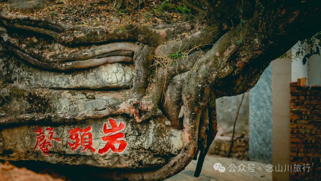 大理南澗碧溪鄉岩子頭村：古樹群中的寧靜，古老村莊的故事 - 第4張