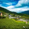 迪庆维西塔城镇巴珠村：藏传佛教的净土，群山深处的绿色秘境