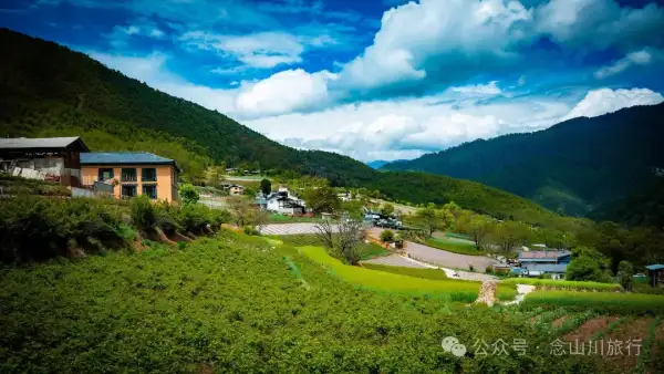 迪庆维西塔城镇巴珠村:藏传佛教的净土,群山深处的绿色秘境