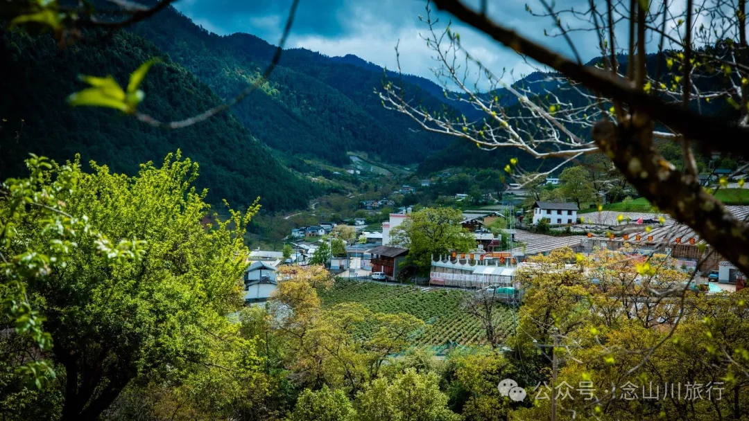 Bazhu Village in Tacheng Town, Weixi, Diqing: A Pure Land of Tibetan Buddhism, a Green Secret Deep in the Mountains - Image 10