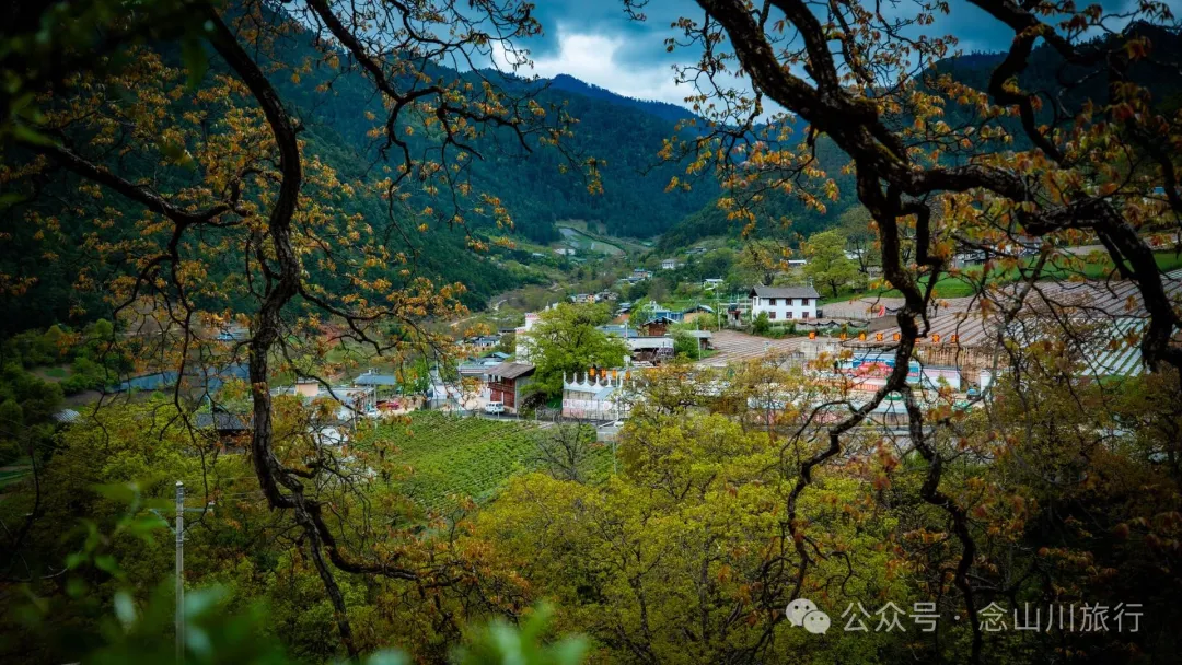 Bazhu Village in Tacheng Town, Weixi, Diqing: A Pure Land of Tibetan Buddhism, a Green Secret Deep in the Mountains - Image 11