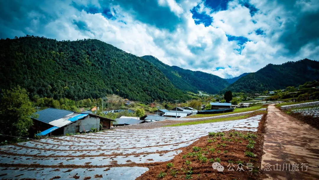 Bazhu Village in Tacheng Town, Weixi, Diqing: A Pure Land of Tibetan Buddhism, a Green Secret Deep in the Mountains - Image 13