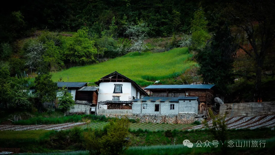 Bazhu Village in Tacheng Town, Weixi, Diqing: A Pure Land of Tibetan Buddhism, a Green Secret Deep in the Mountains - Image 14