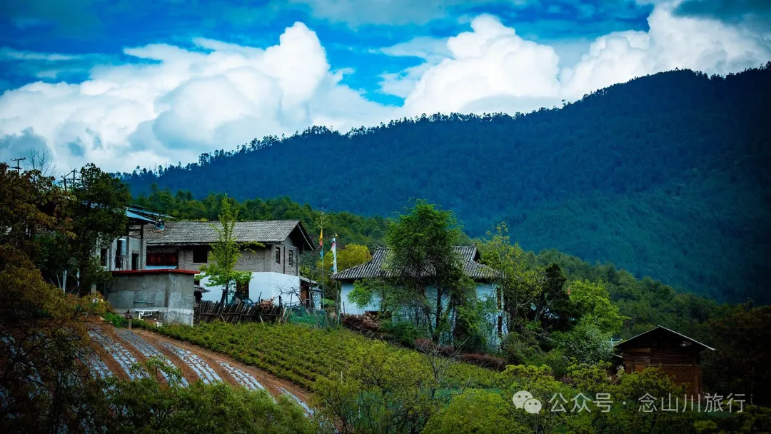 Bazhu Village in Tacheng Town, Weixi, Diqing: A Pure Land of Tibetan Buddhism, a Green Secret Deep in the Mountains - Image 15