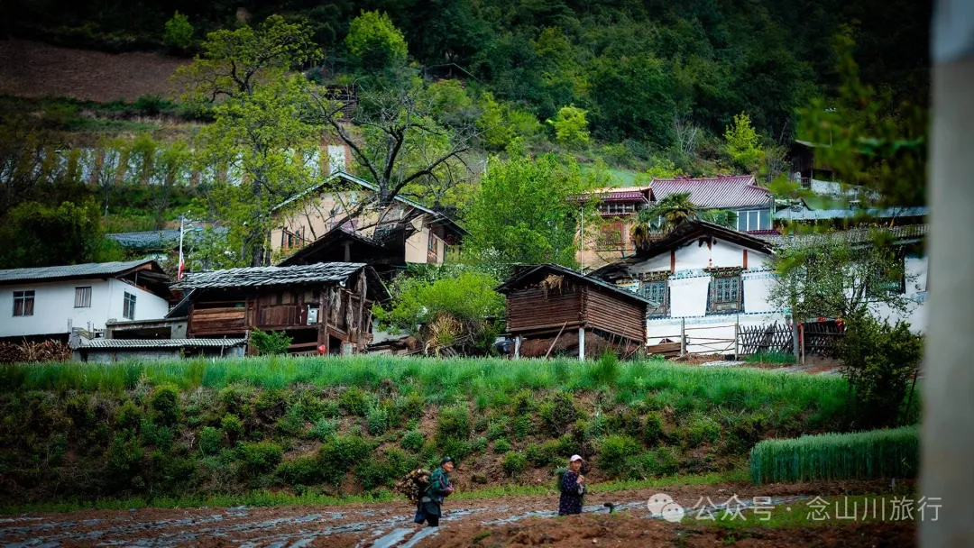 Bazhu Village in Tacheng Town, Weixi, Diqing: A Pure Land of Tibetan Buddhism, a Green Secret Deep in the Mountains - Image 16