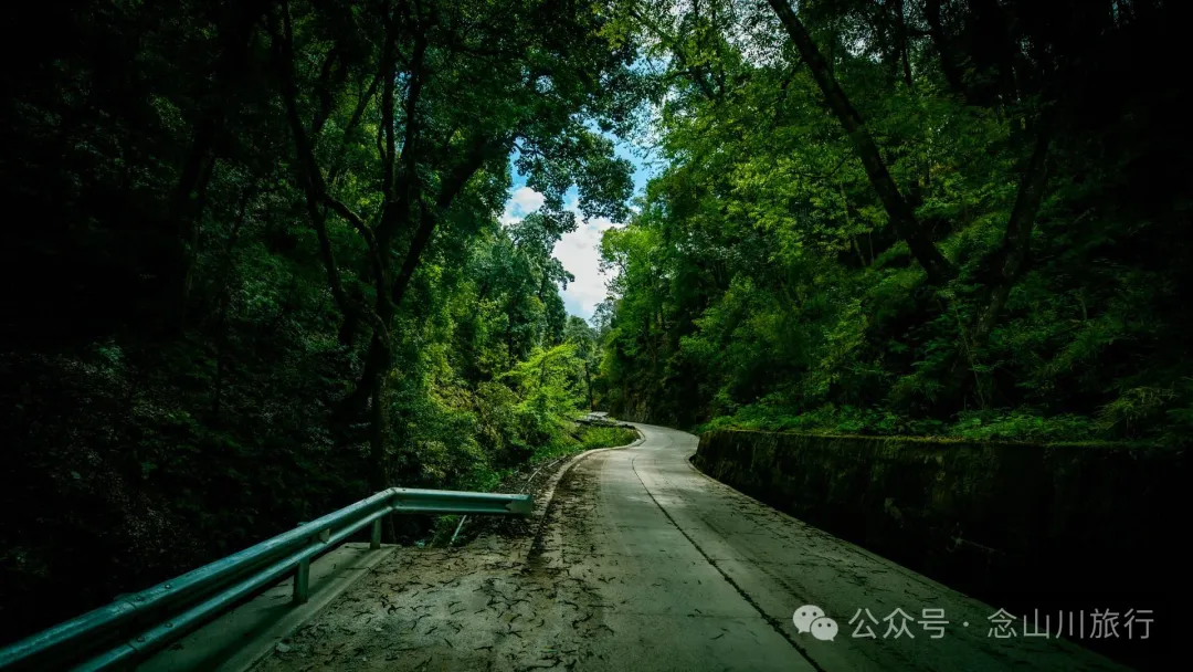 Bazhu Village in Tacheng Town, Weixi, Diqing: A Pure Land of Tibetan Buddhism, a Green Secret Deep in the Mountains - Image 4