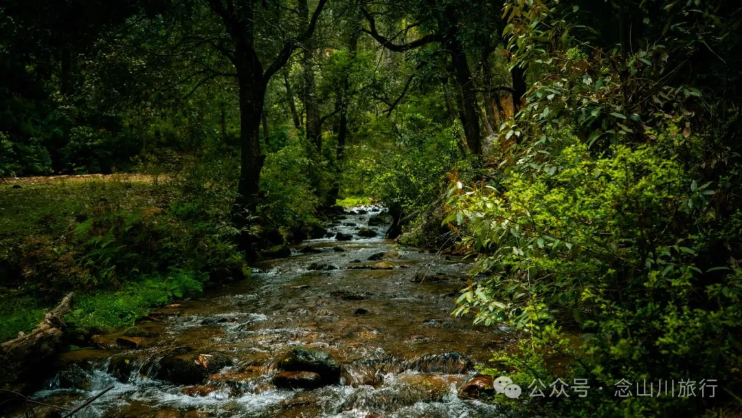 Bazhu Village in Tacheng Town, Weixi, Diqing: A Pure Land of Tibetan Buddhism, a Green Secret Deep in the Mountains - Image 5