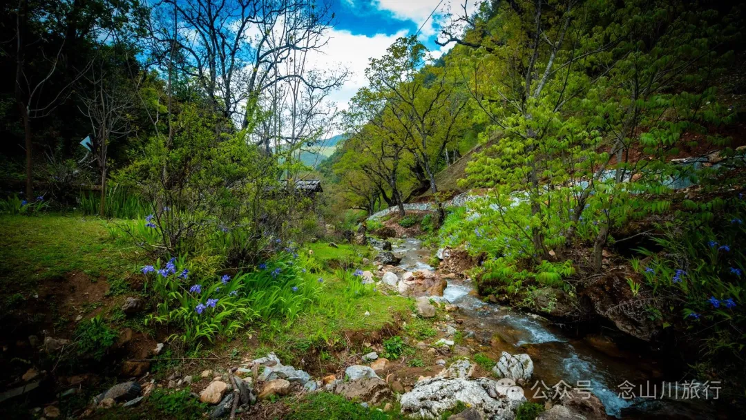 Bazhu Village in Tacheng Town, Weixi, Diqing: A Pure Land of Tibetan Buddhism, a Green Secret Deep in the Mountains - Image 7