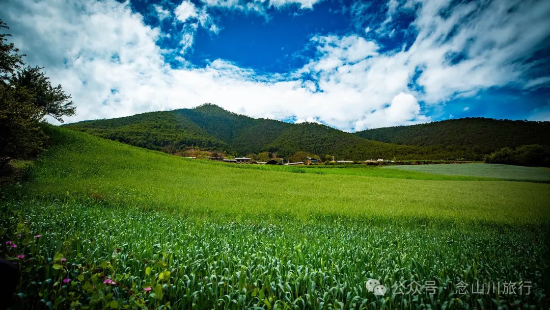 Bazhu Village in Tacheng Town, Weixi, Diqing: A Pure Land of Tibetan Buddhism, a Green Secret Deep in the Mountains - Image 9