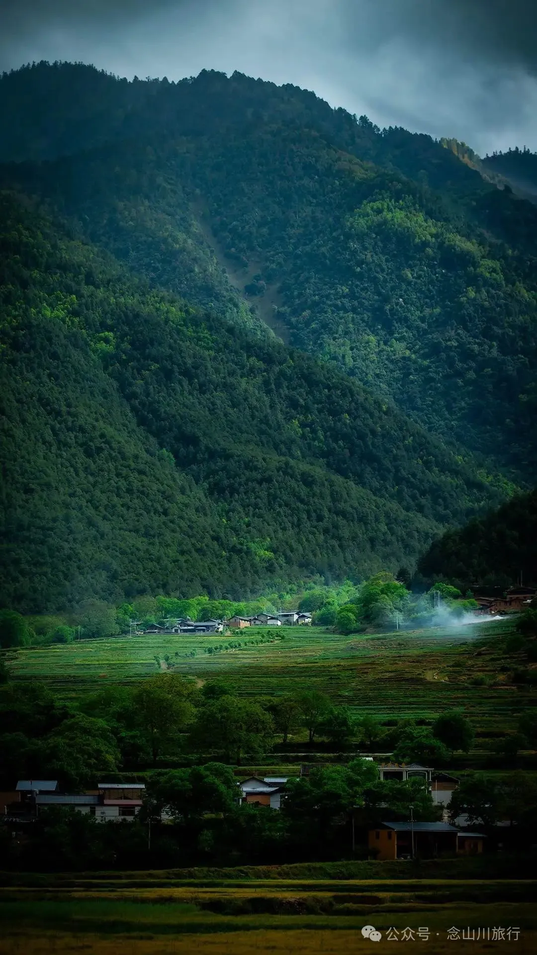 迪庆维西塔城镇冲可村的麦浪与松涛，是一首写不尽的诗歌 - 第10张