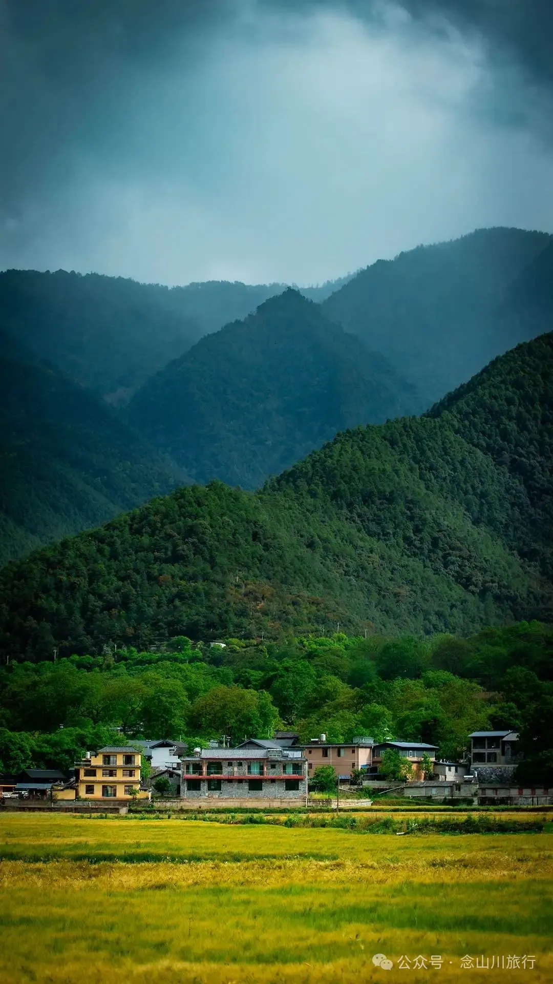 迪庆维西塔城镇冲可村的麦浪与松涛，是一首写不尽的诗歌 - 第11张