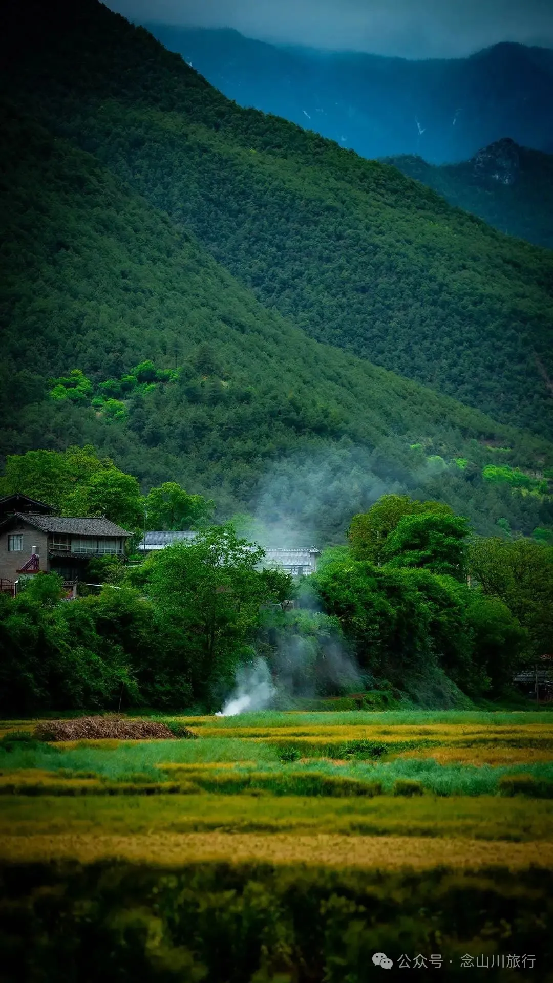 迪庆维西塔城镇冲可村的麦浪与松涛，是一首写不尽的诗歌 - 第12张
