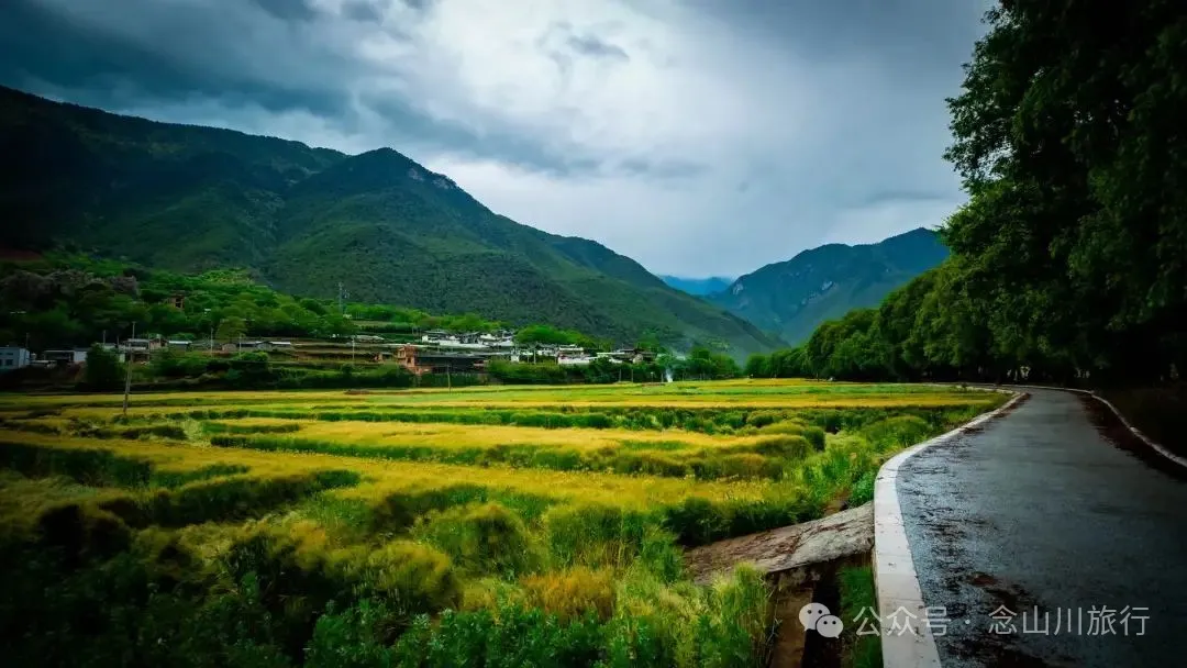 迪庆维西塔城镇冲可村的麦浪与松涛，是一首写不尽的诗歌 - 第2张