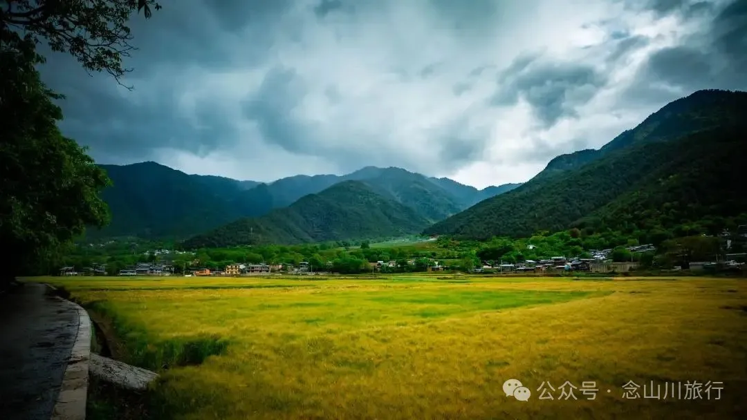 迪庆维西塔城镇冲可村的麦浪与松涛，是一首写不尽的诗歌 - 第5张