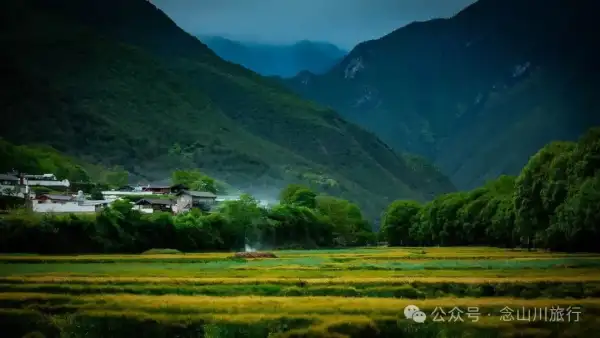 迪庆维西塔城镇冲可村的麦浪与松涛,是一首写不尽的诗歌