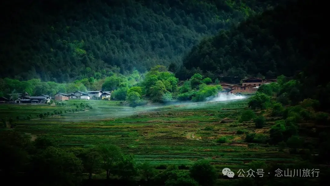 迪庆维西塔城镇冲可村的麦浪与松涛，是一首写不尽的诗歌 - 第9张