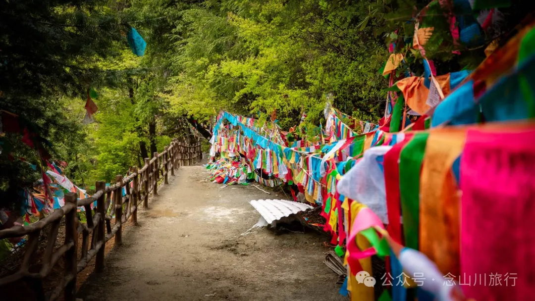 寻访迪庆维西塔城镇达摩祖师洞：一场自然与信仰的双重修行 - 第2张