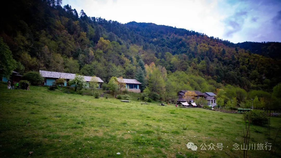 Yunnan Golden Monkey National Forest Park: A Green Home for Snow Mountain Spirits, a Gift of Nature - Image 30