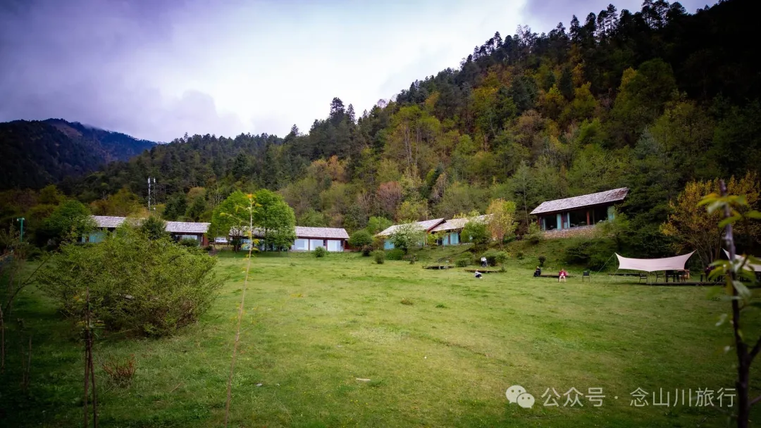Yunnan Golden Monkey National Forest Park: A Green Home for Snow Mountain Spirits, a Gift of Nature - Image 31
