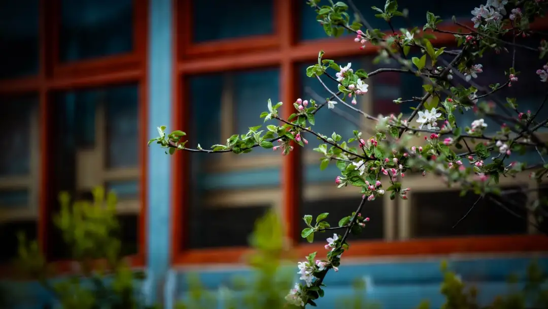 迪慶維西塔城鎮朵那閣村：傈僳族特色村，木楞房炊煙裡的新舊交融 - 第36張