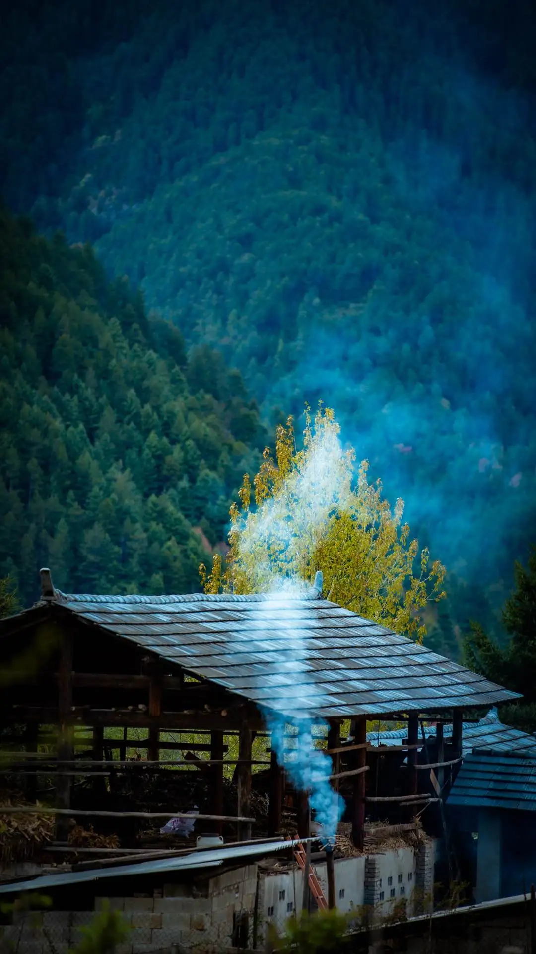 迪慶維西塔城鎮朵那閣村：傈僳族特色村，木楞房炊煙裡的新舊交融 - 第41張