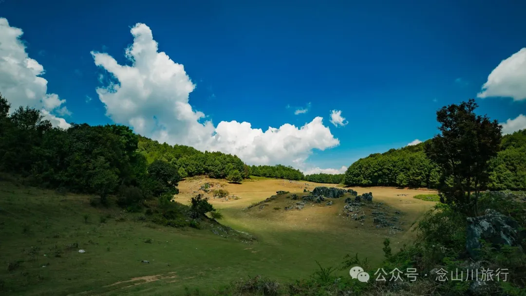大理巍山马鞍山乡青云草甸:高山草甸上的石林奇景,自然的鬼斧神工 - 第1张