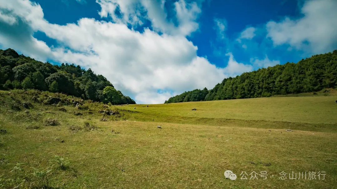 大理巍山马鞍山乡青云草甸:高山草甸上的石林奇景,自然的鬼斧神工 - 第13张