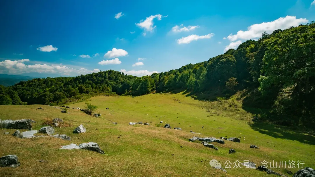 大理巍山马鞍山乡青云草甸:高山草甸上的石林奇景,自然的鬼斧神工 - 第14张
