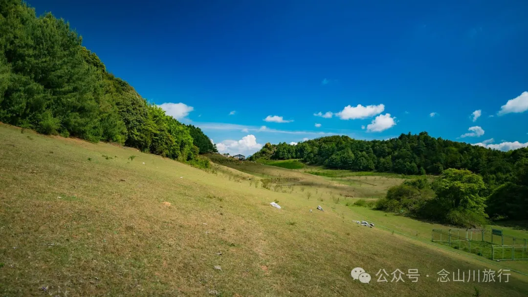 大理巍山马鞍山乡青云草甸:高山草甸上的石林奇景,自然的鬼斧神工 - 第15张