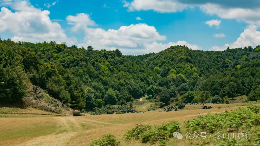 大理巍山马鞍山乡青云草甸:高山草甸上的石林奇景,自然的鬼斧神工 - 第16张