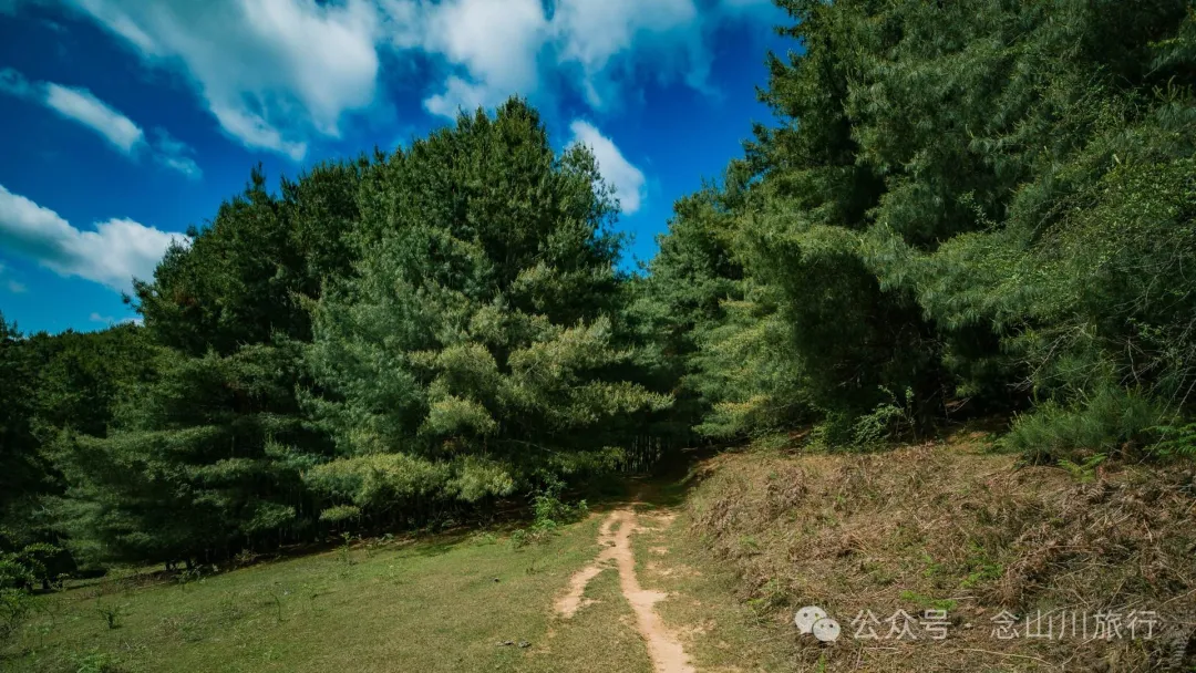 大理巍山马鞍山乡青云草甸:高山草甸上的石林奇景,自然的鬼斧神工 - 第17张