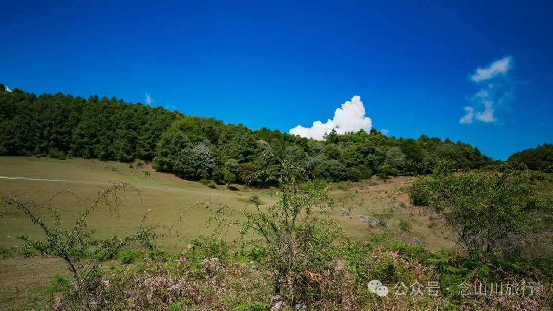大理巍山马鞍山乡青云草甸:高山草甸上的石林奇景,自然的鬼斧神工 - 第19张