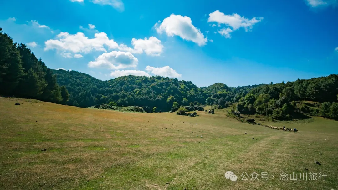 大理巍山马鞍山乡青云草甸:高山草甸上的石林奇景,自然的鬼斧神工 - 第2张