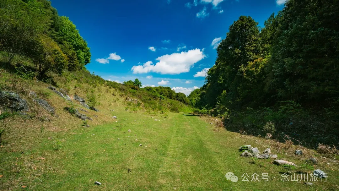 大理巍山马鞍山乡青云草甸:高山草甸上的石林奇景,自然的鬼斧神工 - 第20张